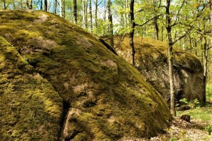 Экскурсия в Каменное село